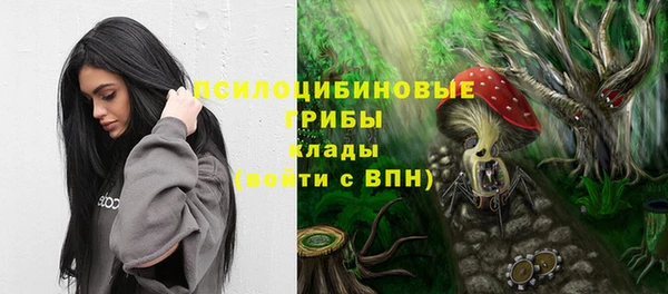мдпв Навашино