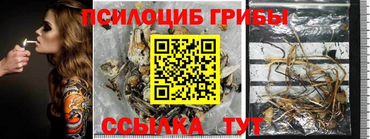Галлюциногенные грибы Psilocybe  Вход с VPN  Сургут 